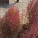 종합운동장역 4번출구 | 잠실 커플마사지샵 종합운동장역 그린테라피 잠실점 시원하게 스포츠마사지 70분 후기