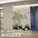 조경치과의원 | 실내조화조경, 깔끔한 치과 인테리어! 자체 제작 인조 나무로 고급스럽게!