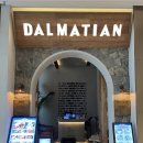 스타애견 이미지