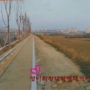 홈플러스 앞 도로 이미지