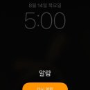 오케이자동차정비 | [제주여행] 돌, 초록, 바다, 산 그리고