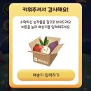 쌀돌이 | 올웨이즈 올팜 : 계란 10알 수확 기간 2주 걸린 후기 레벨업 단계 물받기 공략 꿀팁