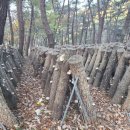 장흥농장 이미지