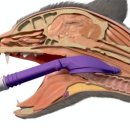 아인스동물병원 이미지