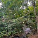 칠갑산계곡펜션 이미지