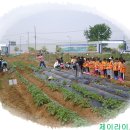 제이라이프코칭 네이버블로그