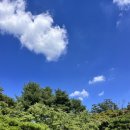 동근이숯불두마리치킨대구시지점 이미지