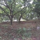 분동농장 이미지