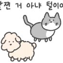 폴키(FOLKI)