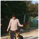 스마트애견 이미지