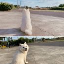 동글동글 이미지