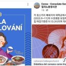 외교부, '일장기 같은 태극기' 재외공관 홍보물 논란에 "삭제 조치" 이미지