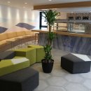 데생 초급 이미지