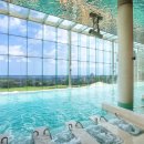 소노펠리체 델피노 이미지