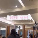 도영헤어살롱