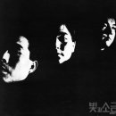 샴푸의요정 이미지