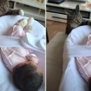 리얼펫스튜디오 이미지