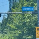 달빛 햄스터리 이미지