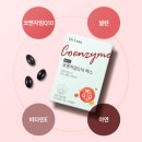 하이퍼셀코엔자임 Q10 (뉴트리코어 하이퍼셀코엔자임 Q10 + 닥터린 알파/맥스 + 비교 분석)