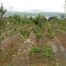 늘푸른농장(2) 이미지