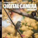 디지털카메라 사진예술 이미지
