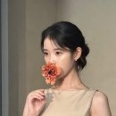 갓,지은 이미지
