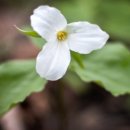 Stay 강화 이미지