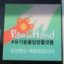 너와함개냥 이미지