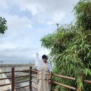 장군태양광발전소1 이미지