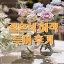 안젤로가든 | 투어 서울 더링크호텔 가든홀/군산 호텔은파팰리스...홀 /광주 까사디루체 안젤로홀 다녀온 개인적인 후기