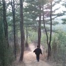 유성궁도장 | 덕명 솔밭 오솔길