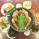 돈치스 이미지