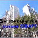 신나무실 Daum카페
