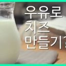 리코타치즈 만들기 우유로 치즈만들기 우유 요리 이미지