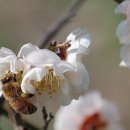 용두공원#1 이미지