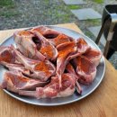 호곡437 | 😝거제 독채 호곡437펜션 A동 후기😝