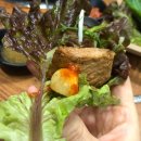 1984참숯구이 | [춘천 맛집] 공지천 왕갈비 본점: 1984년부터 이어온 깊은 맛, 주차 걱정 없는 완벽한 갈비 타임!