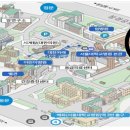 서울대학교병원 구인 2024년도 임상강사(Fellow) 선발 공고 이미지