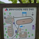 [캠핑🏕-2026 #13]비오는 설매재 우중캠핑 / B싸이트후기 / 백패킹존 소개