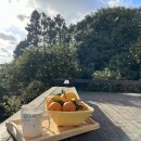 제주귤빛스테이 이미지