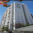 신월동217 이미지