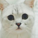 열매달헤어 네이버블로그