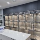 민들레동물병원 이미지