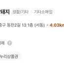 복순이암돼지