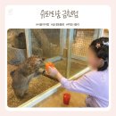 금천 쥬라리움 후기｜아이랑 가기 좋은 서울 실내동물원 키즈카페