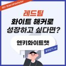 주식회사 가운자산개발 | 레드팀 '화이트 해커'로 성장하고 싶다면? 엔키화이트햇에 대해 알아보기. ZIP