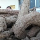 엄마사랑건강원 이미지