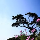 서해농장 Daum카페