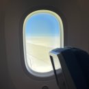 포도나무 민박 이미지