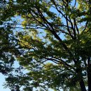 한강 | 한강 피크닉 장소 추천 준비물 잠원한강 후기